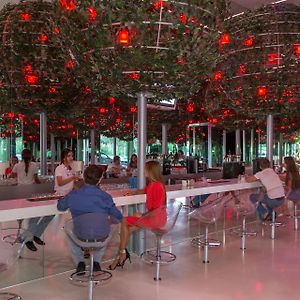 Adam & Eve - Adult Only